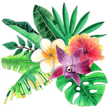Tropikal Çiçekler Çiçek Çiçeği Sulu Boyalı Tasarım, El Boyalı Çizim