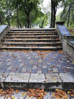 Sonbahar manzarası, parka giden ıslak patika, merdivenler, sonbahar yapraklarıyla dolu..