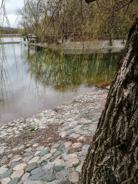 Açık hava, park, orman, ağaçlar, nehir, yuvarlak taşlar yığını..