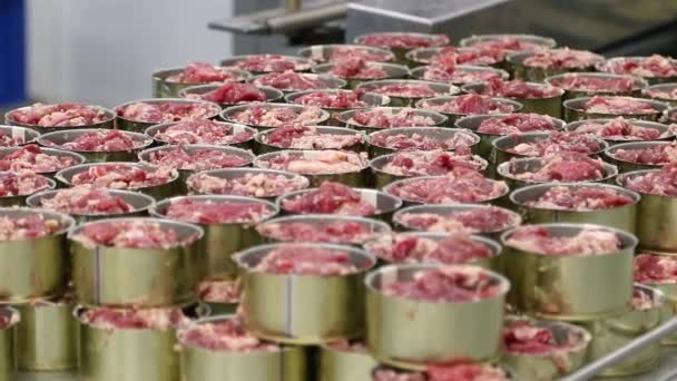 Produktion av konserverat kött. Sekvens — Stockvideo