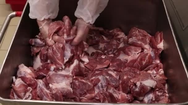 Et üretimi. İşçiler et leşlerini parçalara ayırdılar. Sıralama. — Stok video