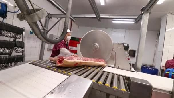 Fleischproduktion. Arbeiter schneiden Fleischkadaver in Stücke. Reihenfolge. — Stockvideo