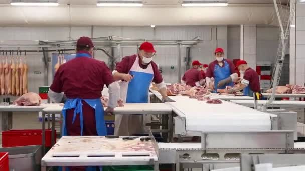 Produkce masa. Dělníci krájejí jatečně upravená těla na kusy. Posloupnost. — Stock video