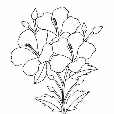 Renklendirme sayfası için mürekkep hatlı hibiscus çiçeği çizimi