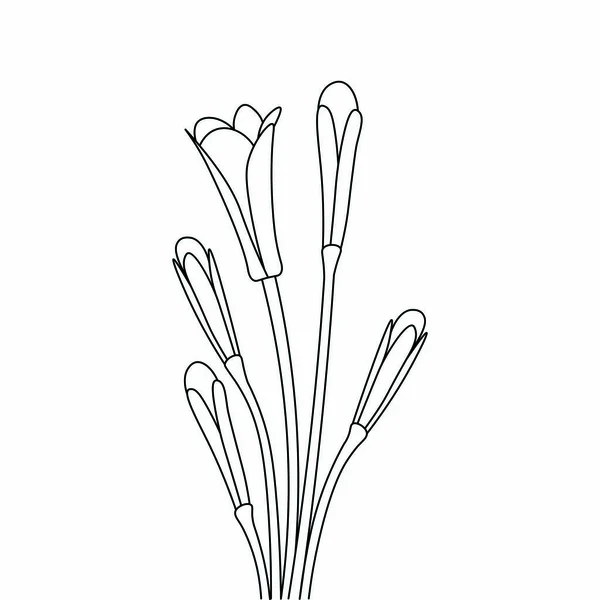 Dibujo Una Sola Línea Flores Florecientes Para Colorear Página Para — Vector de stock