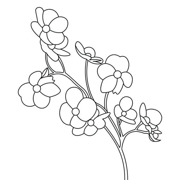 Kontur Lineare Illustration Für Malbuch Mit Blumen Line Art Design — Stockvektor