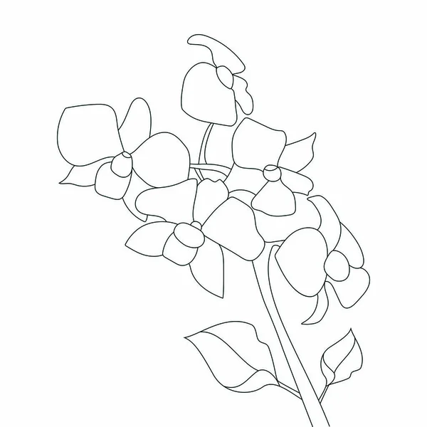 Monochrome Fleur Vectorielle Dessinée Main Pour Coloration Stress — Image vectorielle