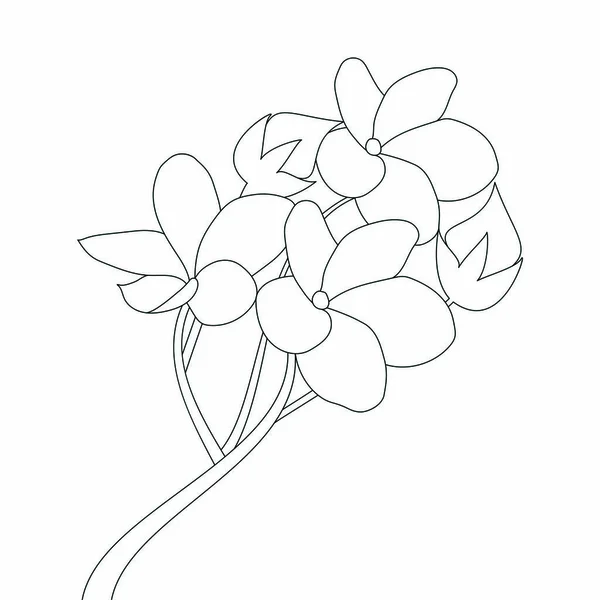 Diseño Arte Línea Flores Naturaleza Sobre Fondo Blanco Para Colorear — Vector de stock