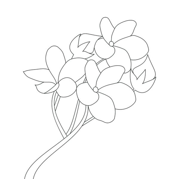 nature flower line art design on white background for coloring page