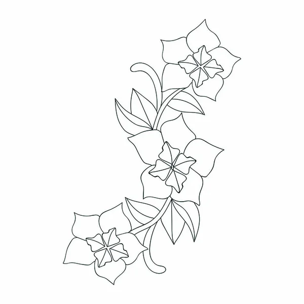 Handzeichnung Blume Von Umriss Einfachheit Natürliche Skizze Für Clip Art — Stockvektor