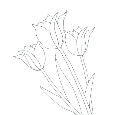 Yaban çiçeği çiçekleri doğrusal olarak serpilmiş renklendirme sayfası çizim elementi