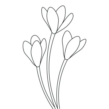 Boyama Sayfası Çocuklar için Boyama Kitabı Özeti