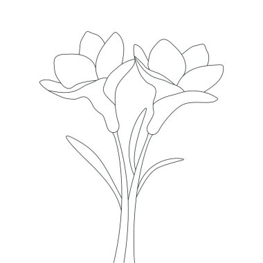 Bebek boyama kitabı için siyah beyaz sayfa ve çocuk okulu ders kitabı için basılabilir şablon