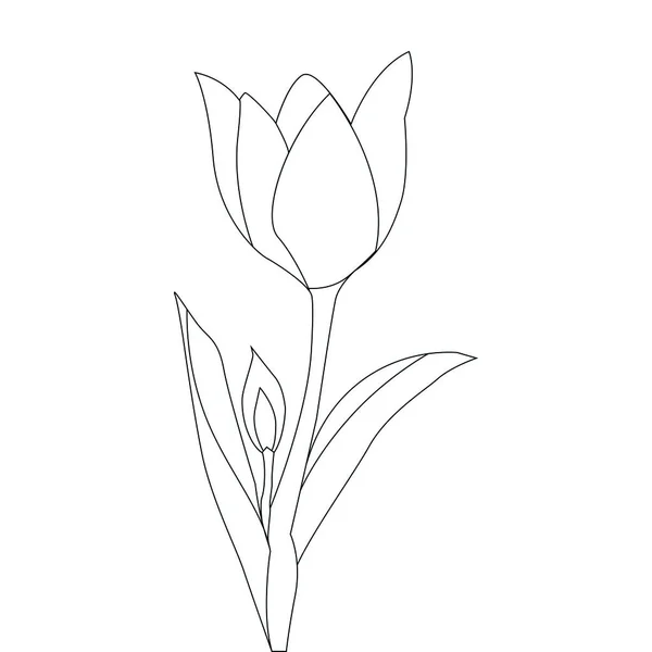 Ligne Art Design Pour Enfants Coloriage Livre Fleur Illustration Vectorielle — Image vectorielle