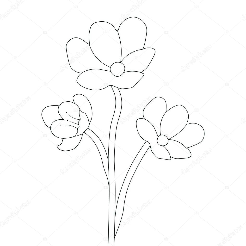 vector flower illustration isolated on white background for Coloring book page