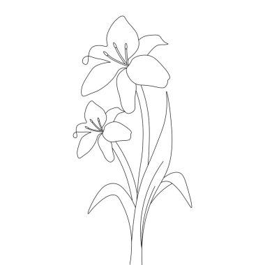 seasonal flower line art illustration on isolated black and white background 