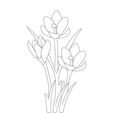 safran mevsimlik çiçekli el siyah arka planda çizilmiş sanat tasarımı