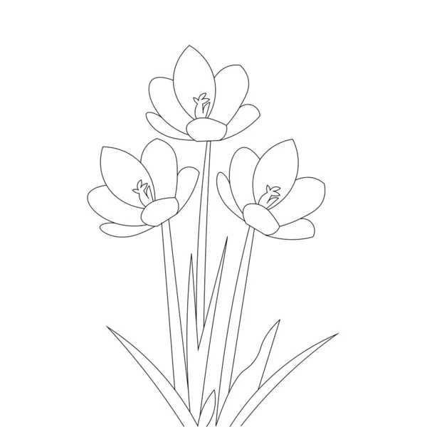 Crocus Flower Pencil Line Drawing Vector Graphic Outline White Background — Stock vektor