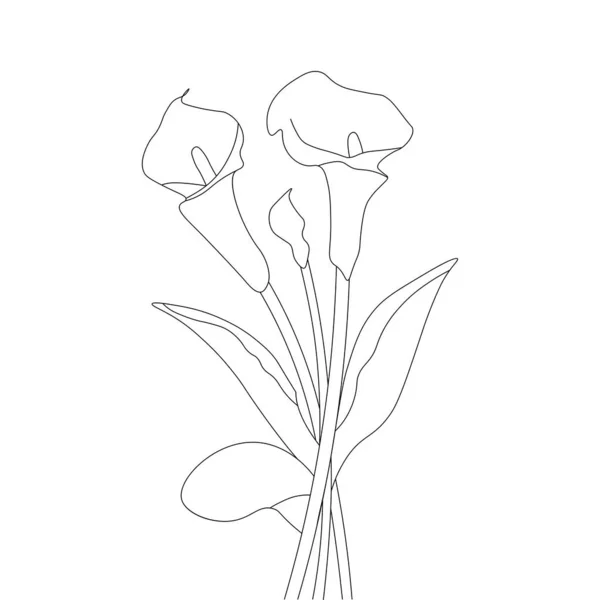 Calla Flower Coloring Book Page Illustration Isolated White Background Design — Stock vektor