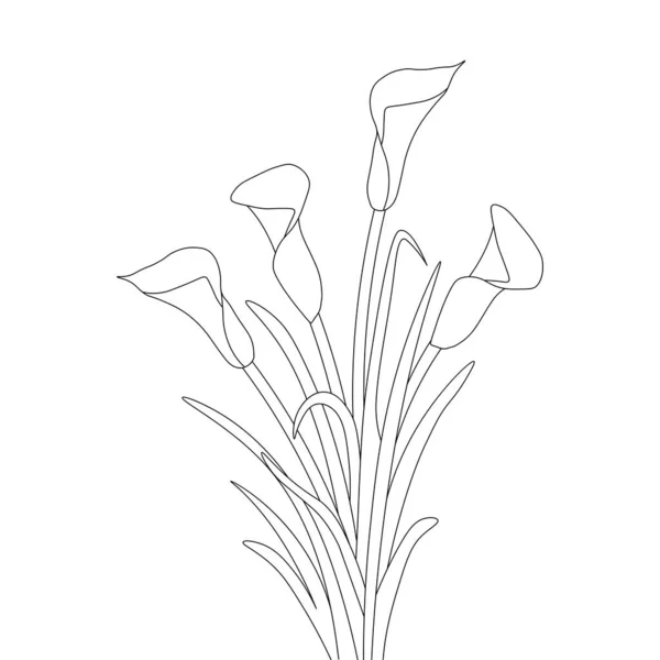 Illustration Calla Flower Line Art Design Beautiful Leaf Drawing Coloring —  Vetores de Stock