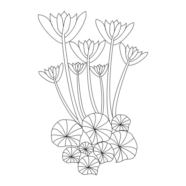 Lotus Pod Line Drawing Pencil Art Flowering Coloring Page Kids — Vetor de Stock