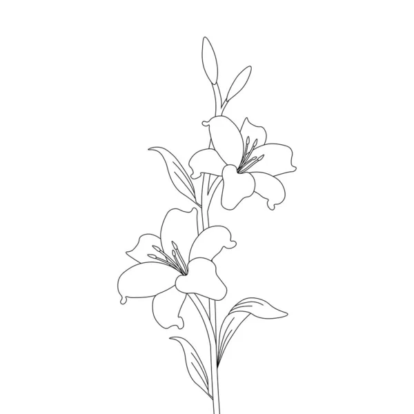 Beautiful Botanical Vector Graphic Line Art Coloring Page Flower — ストックベクタ