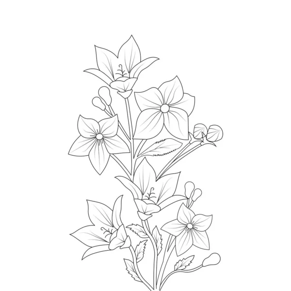 Balloon Flower Coloring Page Line Art Blooming Petals Leaves Illustration — ストックベクタ