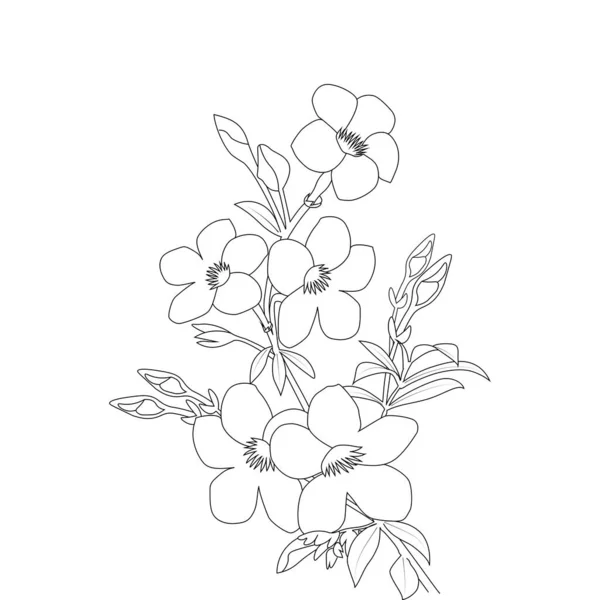 Allamanda Flower Coloring Page Line Art Blooming Petals Leaves Illustration — Stockový vektor