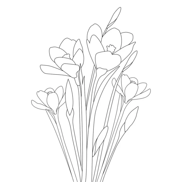 Crocus Flower Coloring Page Saffron Flower Hand Drawn Line Art — Stockvector