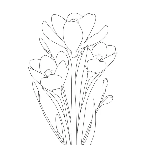 Crocus Flower Coloring Page Saffron Flower Hand Drawn Line Art — Stock vektor