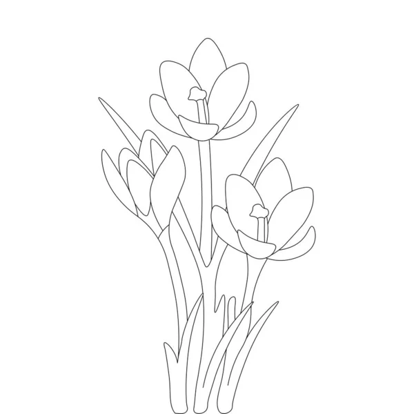 Saffron Seasonal Flower Hand Drawn Line Art Design Black Background — Vetor de Stock