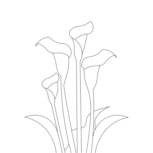 Calla Flower Line Art Design Coloring Book Page Illustration Vector — Stock vektor