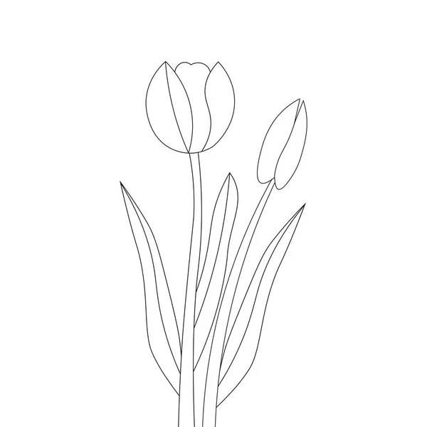 Tulip Flower Line Drawing Black Design Coloring Page Vector Graphic — ストックベクタ