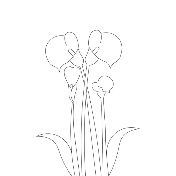Calla Flower Line Art Design Coloring Book Page Illustration Vector — Vettoriale Stock