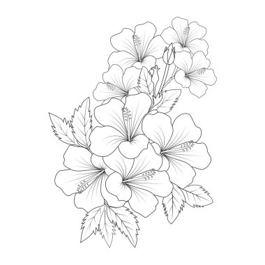 Sharon 'ın gülü karalama çizgisi vektör grafik tasarımının sanat boyama kitabı sayfası