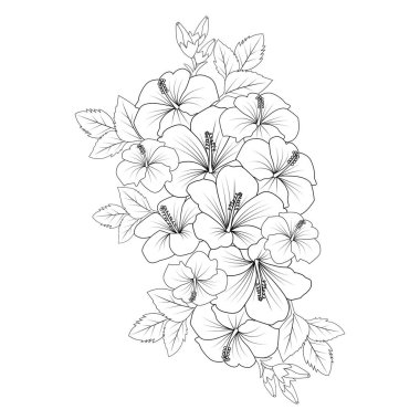 Çin gülü karalama. Resim sayfası çizimi. Çizgi çizimi.