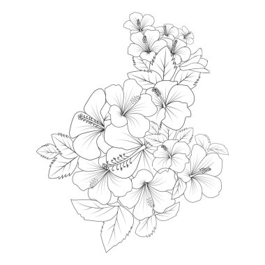 Çin gülü karalama. Resim sayfası çizimi. Çizgi çizimi.
