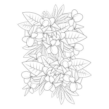plumeria çiçek karalama sayfası beyaz arkaplanda izole edilmiş vektör çizimi