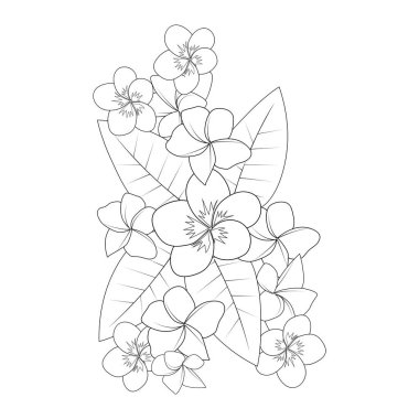 plumeria çiçek karalama sayfası beyaz arkaplanda izole edilmiş vektör çizimi