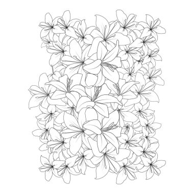 Yazdırma ögesi için çiçek boyama sayfası çizim vektörü zambak çizimi