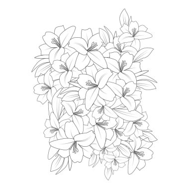 Yazdırma ögesi için çiçek boyama sayfası çizim vektörü zambak çizimi