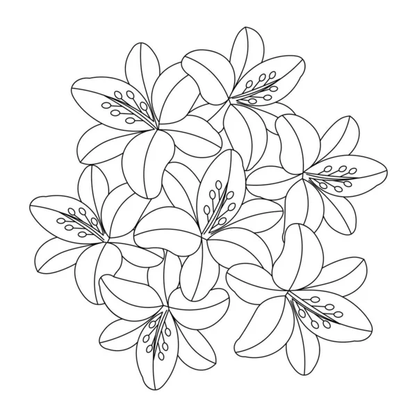 Blooming Doodle Flower Coloring Book Page Element Graphic Illustration Design — Stockvektor