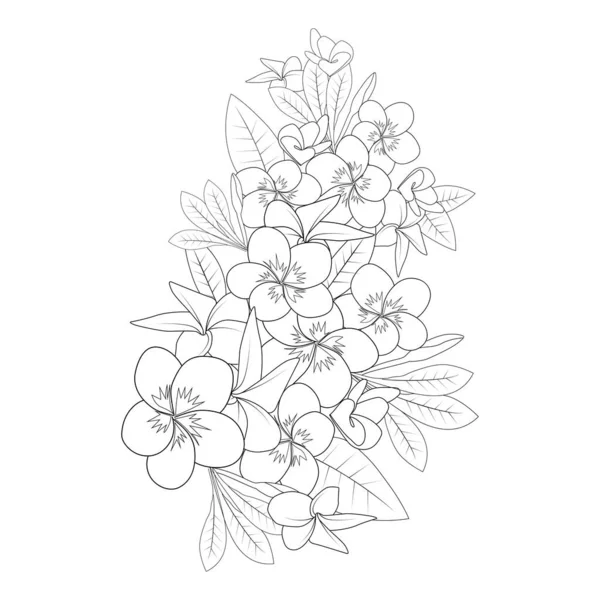 Plumeria Flower Doodle Coloring Page Outline Vector Illustration Isolated White — Stock Vector