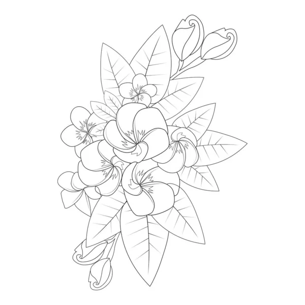 Plumeria Flower Doodle Coloring Page Outline Vector Illustration Isolated White — Stock Vector