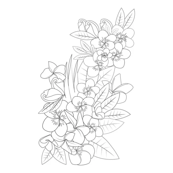 Frangipani Flower Doodle Coloring Page Outline Vector Illustration Isolated White — Stok Vektör