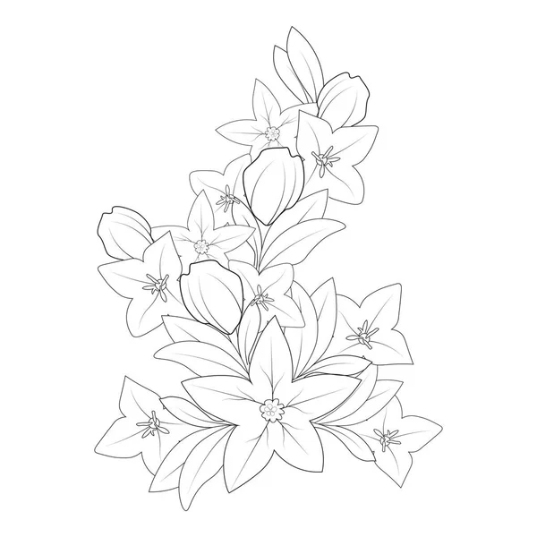 Bell Flower Drawing Coloring Page Doodle Style Print Graphic Element — Stock Vector