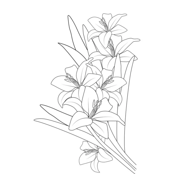 Lily Flower Vector Graphic Line Art Design Coloring Book Page — ストックベクタ