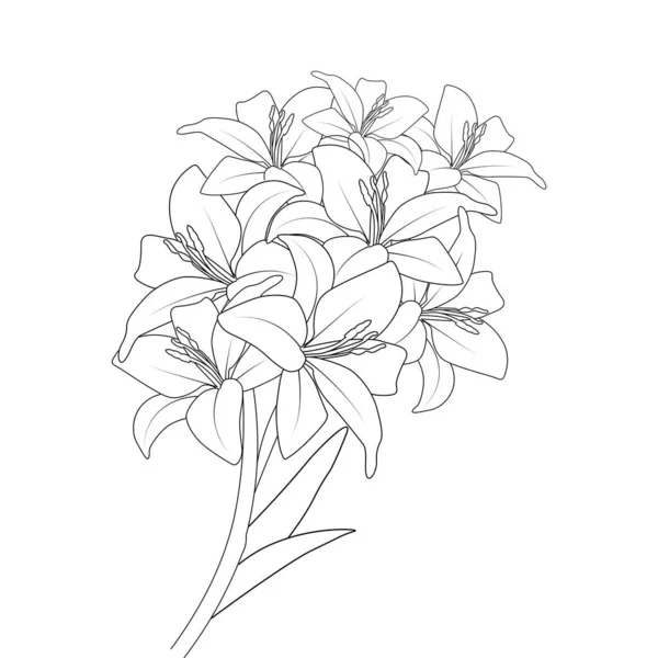 Lily Flower Vector Graphic Line Art Design Coloring Book Page — ストックベクタ