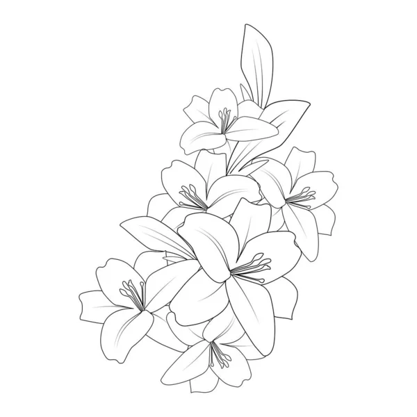 Doodle Lily Flower Coloring Page Drawing Line Art Drawing Printing — ストックベクタ