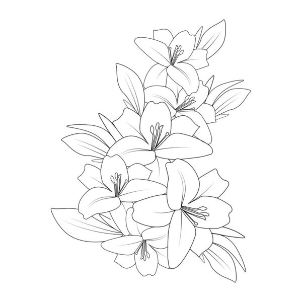 doodle lily flower coloring page drawing with line art drawing for printing element